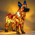 Splendid Boxer